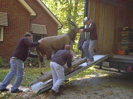 Parma Movers - Visual