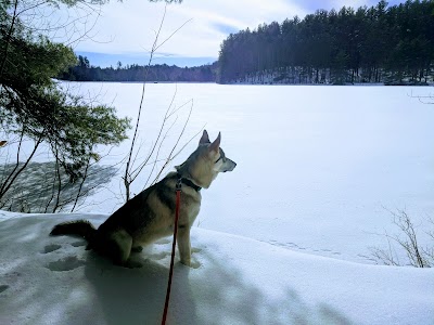 Brattleboro Watershed Forest