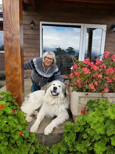 Photos of White Pyrenees Inn Patagonia