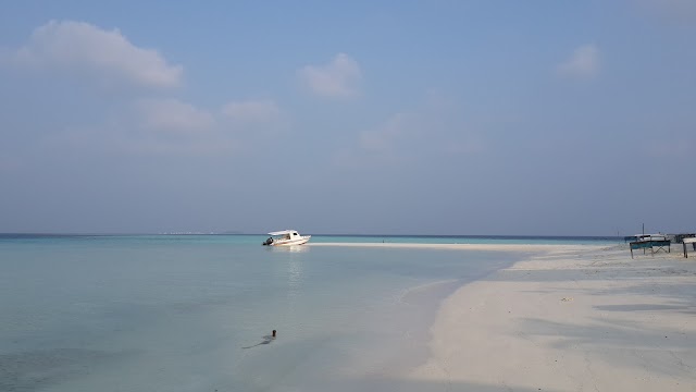 South Ari Inn