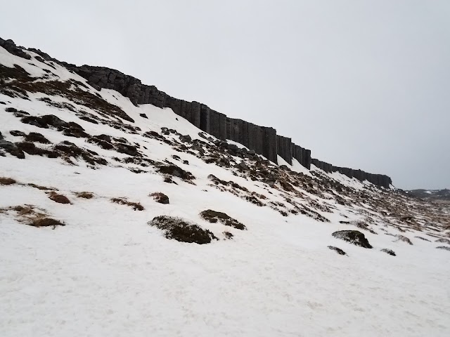 Gerðuberg Cliffs