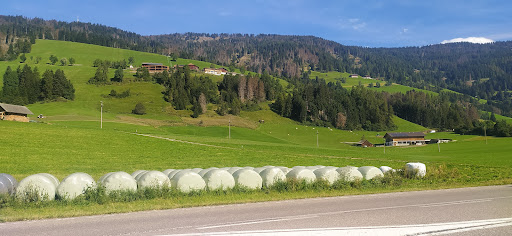 Papin Sport Rent a Bike San Candido - Thumbnail