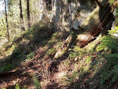 Madrone Wall Park and Climbing Area