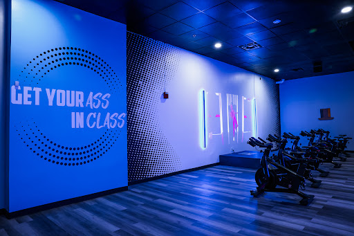 Amped Fitness (Carrollwood) - Thumbnail