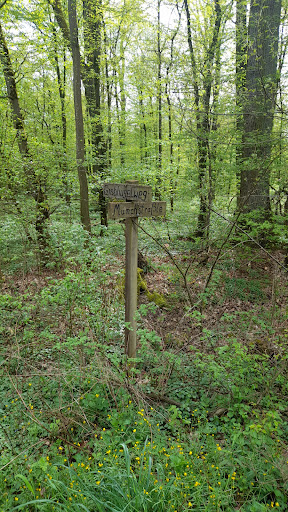 Ziegelhäule Lienzingen
