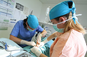 Photo n°3 de Clinique Vétérinaire L'Arche de Noe à Yèvres (Clinique vétérinaire)