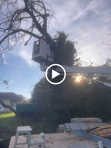 Photo de JMK à Terrasson-Lavilledieu (24120)