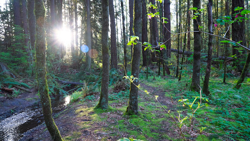 Experience Redmond - Visual