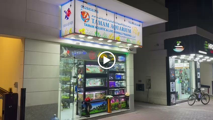 Tamam aquarium - صورة 2