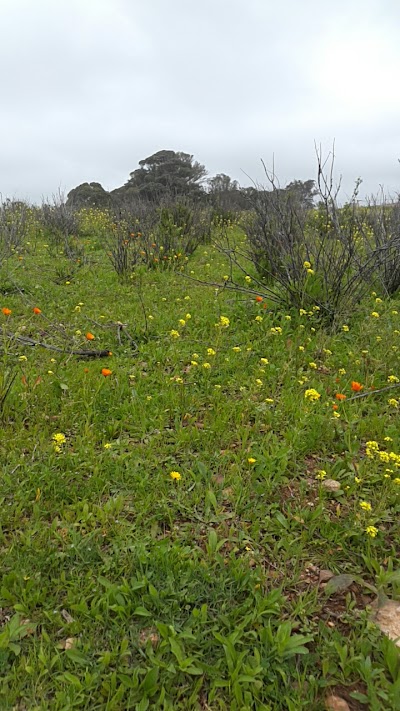 Photos of For&ecirc;t Benslimane