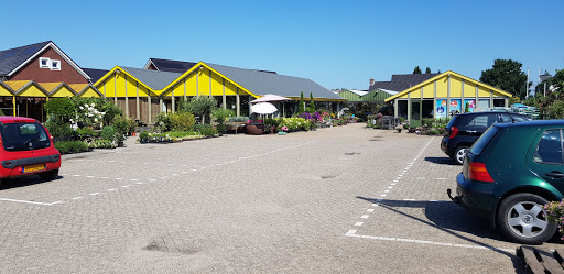 Tuincentrum Van Ingen Gallery - Netherlands