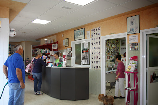 Centro Veterinario Henares (Meco)