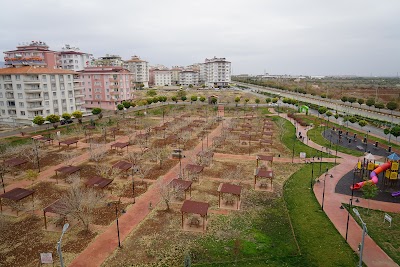 Pistachio Park