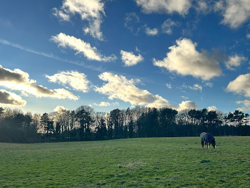 Aughton Meadows Pet Crematorium - Thumbnail