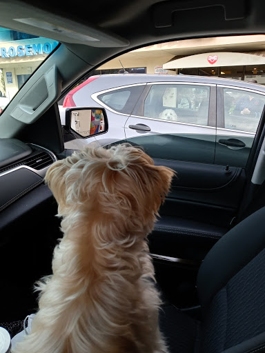 Monica’s Grooming & Bath