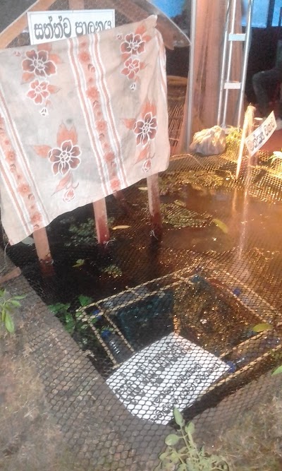 Photos of NLDB Farm