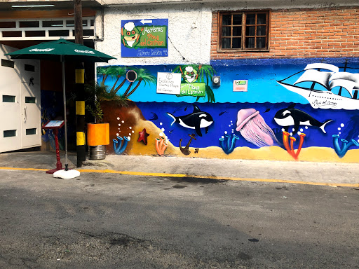 Mariscos Playa del Carmen
