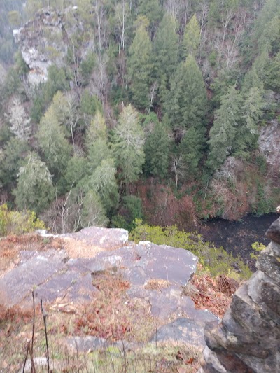 Base of Fall Creek Falls