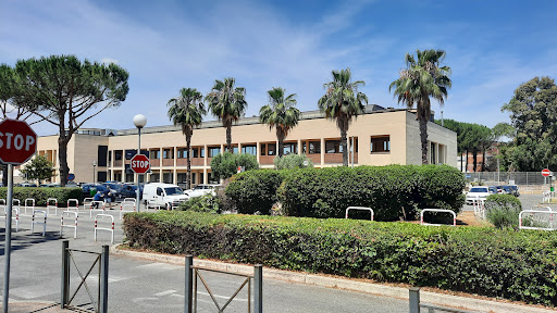 Hospital Sandro Pertini - Thumbnail