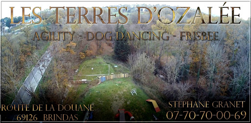 les terres d'ozalée - Thumbnail