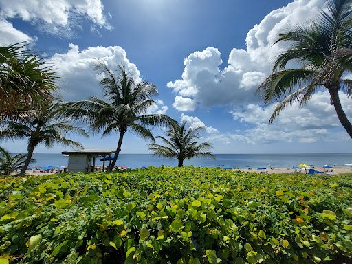 Ocean Front Beach Park Gallery - United States