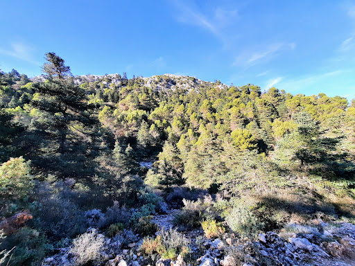 SIERRA DE LAS NIEVES