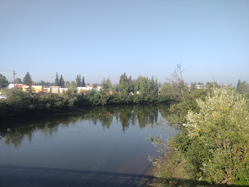 Chena Riverwalk - Visual