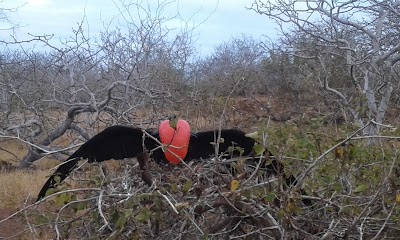 Photos of Ceibos Norte Park