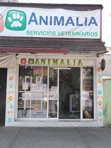 ANIMALIA