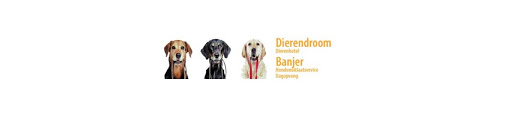 Dierendroom/Banjer Pension - Thumbnail