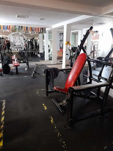 camelot gym - Thumbnail