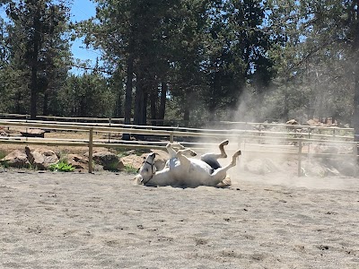 The Red Horse Riding School