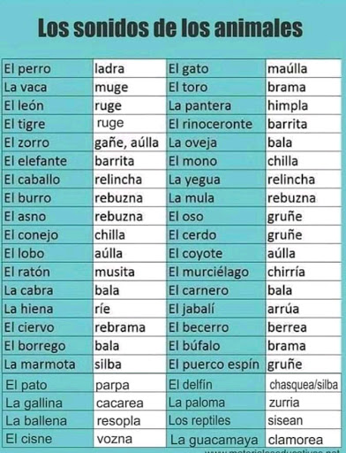 veterinaria la vaquita