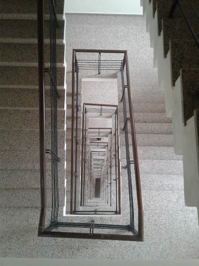 university