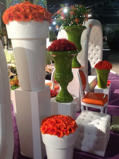 Photos of Jamila Fleurs & Verdure S.A.R.L. S.A.R.L