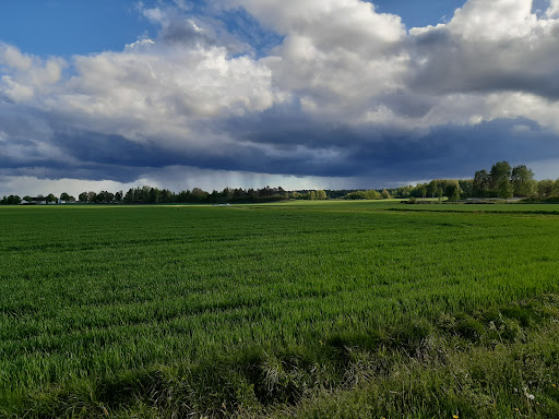 Götabro