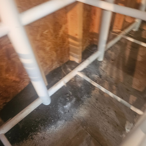 post-image-1