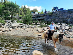 Photo n°31 de Wanderreitstation Chez Cindy à Merkwiller-Pechelbronn (Centre de randonnée équestre)