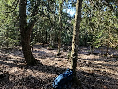 Photos of Mosquito Beach Campground