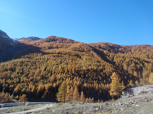 Punto Informazioni e pagamento pedaggio Parco Val Troncea - Italy