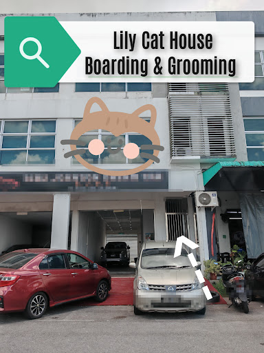 Sibu Lily Cat House Boarding & Grooming