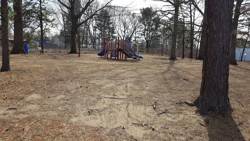Pansy Park - Thumbnail
