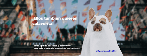 Feed Your Pet - Thumbnail