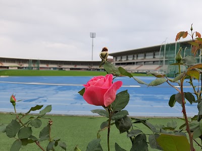 Söğütlü Athletics Stadium