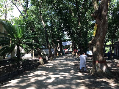 Photos of Upazila Parishad, Sadarpur