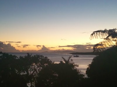 Photos of Marine Ecology Consulting