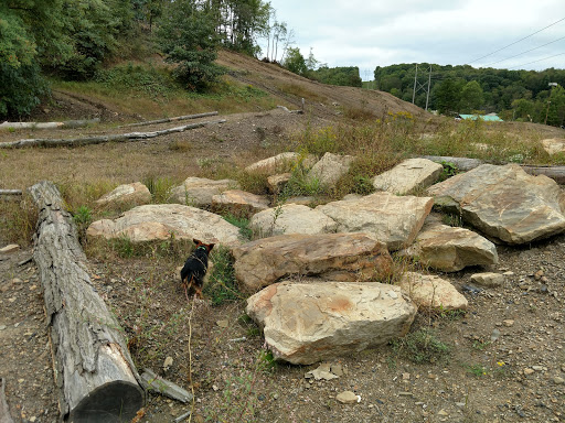SwitchbackMX - Visual