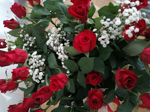 Rose Danielis Gallery - Italy