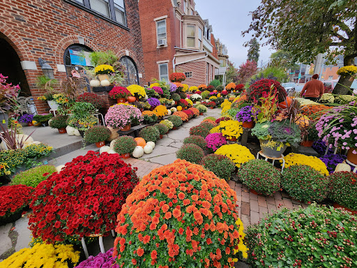 Johnny B's Flowers - Thumbnail