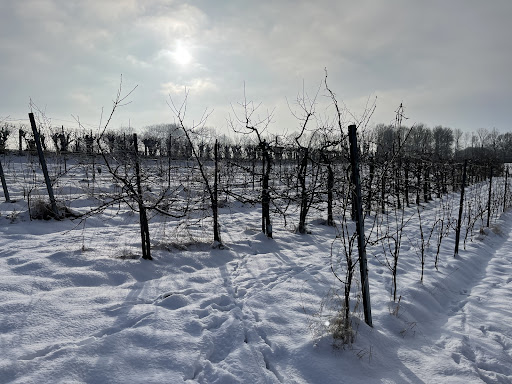 Clos de Nottereberg - Thumbnail